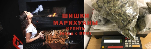 сатива Заволжье
