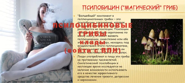 марки nbome Заводоуковск