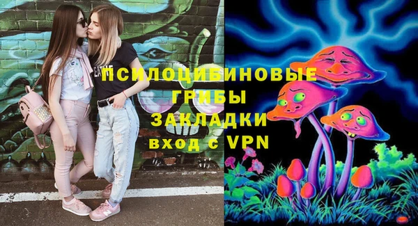 сатива Заволжье