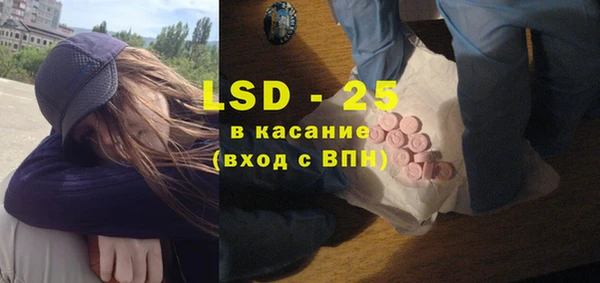 сатива Заволжье