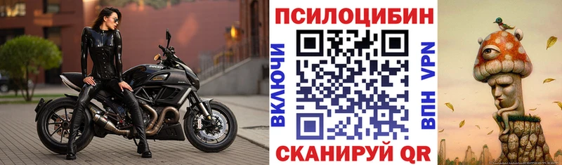 наркота  Троицк  Галлюциногенные грибы Psilocybine cubensis 